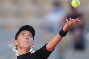  阿波卡猎逃高清dvd 